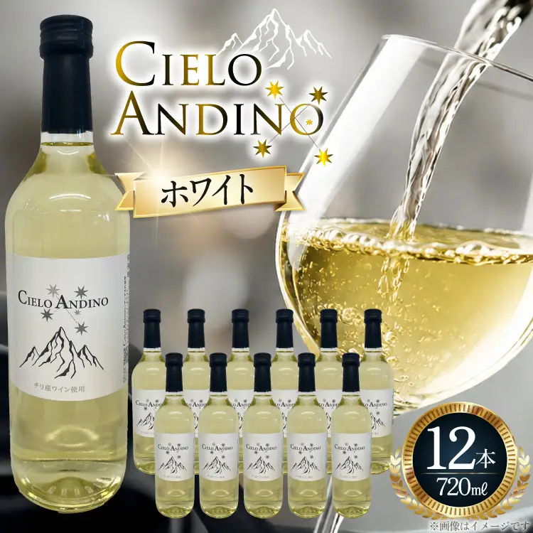 ワイン 白 シエロアンディーノ・ホワイト 720mL×12本