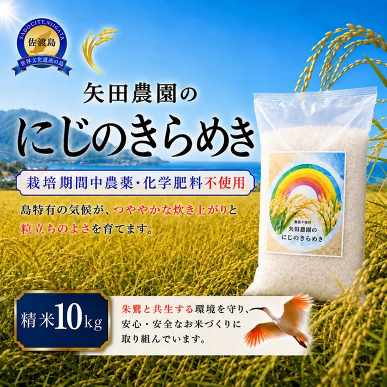 【令和8年】佐渡産にじのきらめき 精米10kg 栽培期間中 農薬・化学肥料不使用 矢田農園