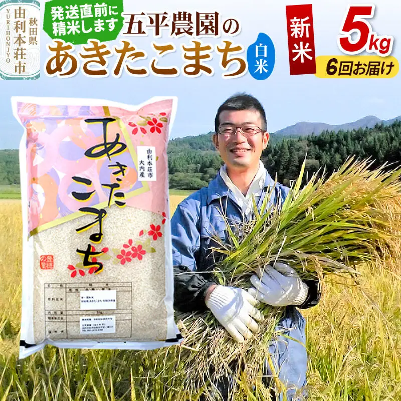 《令和8年産 新米》《定期便6ヶ月》【白米】あきたこまち 5kg 秋田県産 五平農園