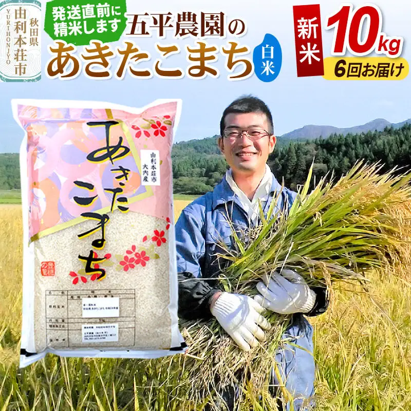 《令和8年産 新米》《定期便6ヶ月》【白米】あきたこまち 10kg 秋田県産 五平農園