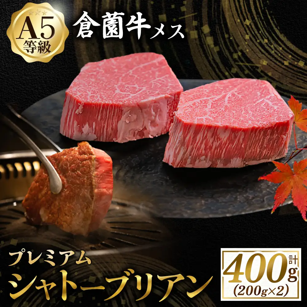 宮崎牛 【プレミアムシリーズ】厳選宮崎牛メス指定 A5等級シャトーブリアン 400g