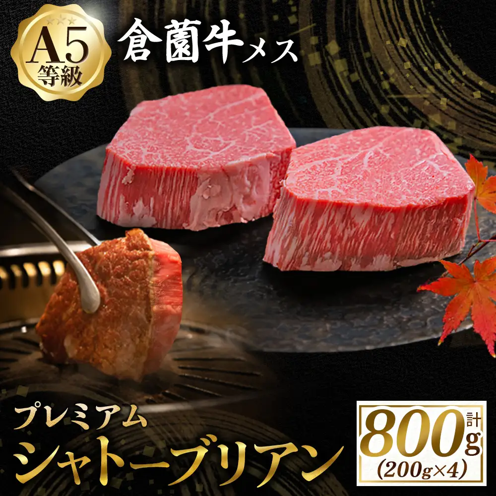 宮崎牛 【プレミアムシリーズ】厳選宮崎牛メス指定 A5等級シャトーブリアン 800ｇ