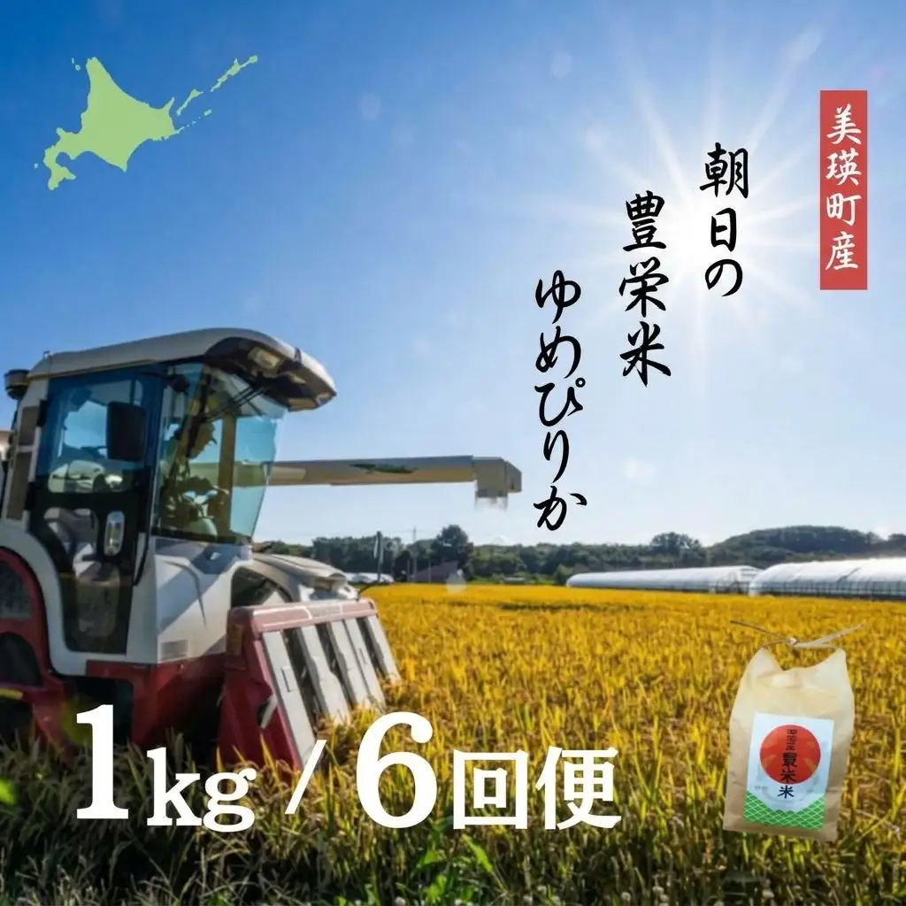 【6回定期便】 ゆめぴりか 1kg 定期便 豊栄米 北海道 精米 ゆめぴりか【令和8年産】