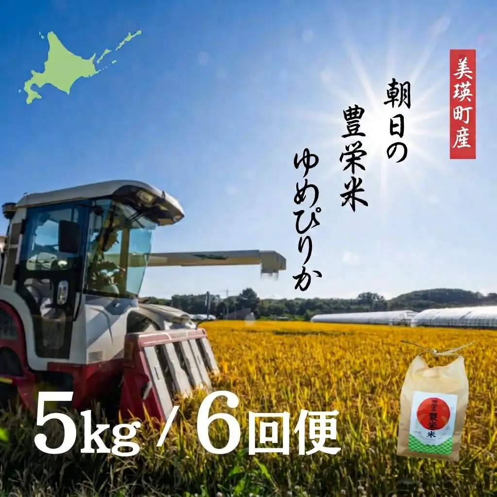 【6回定期便】 ゆめぴりか 5kg 定期便 豊栄米 北海道 精米 ゆめぴりか【令和8年産】