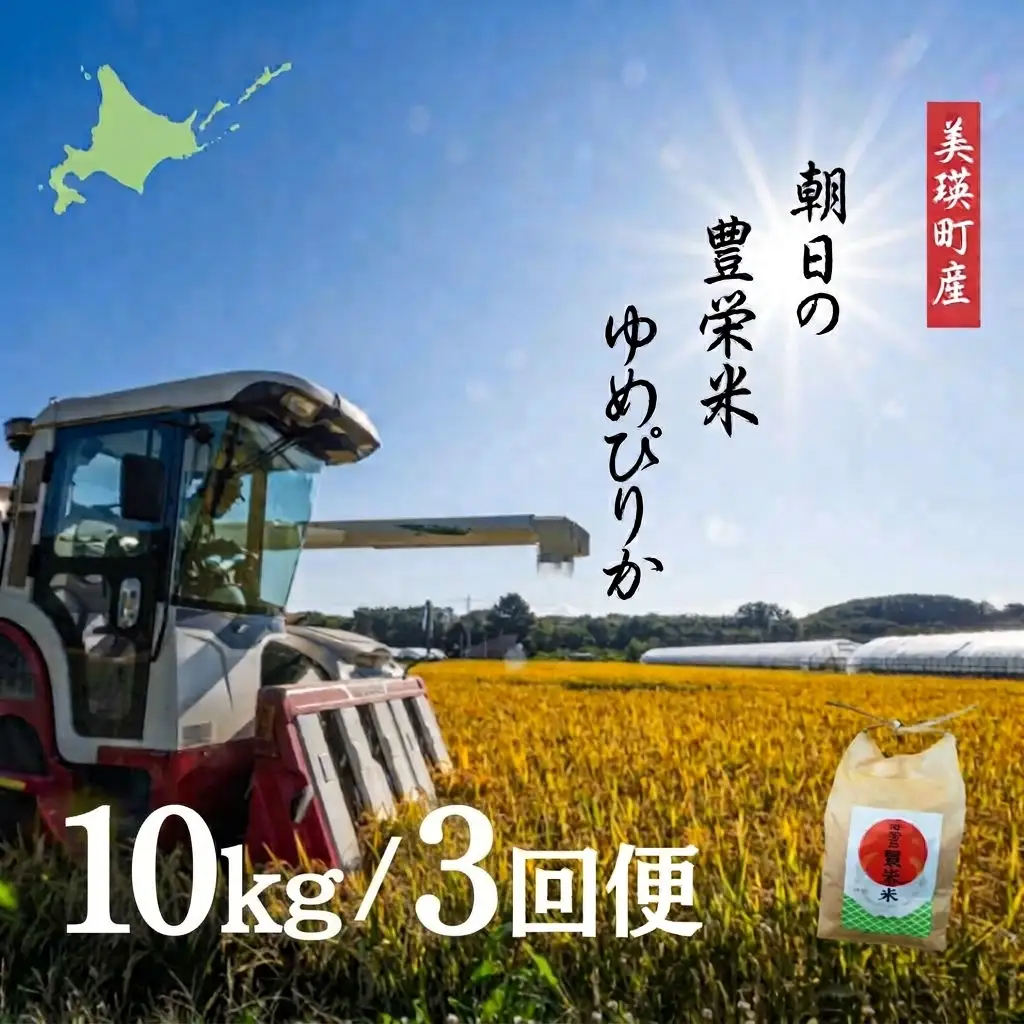 【3回定期便】 ゆめぴりか 10kg 定期便 豊栄米 北海道 精米 ゆめぴりか【令和8年産】