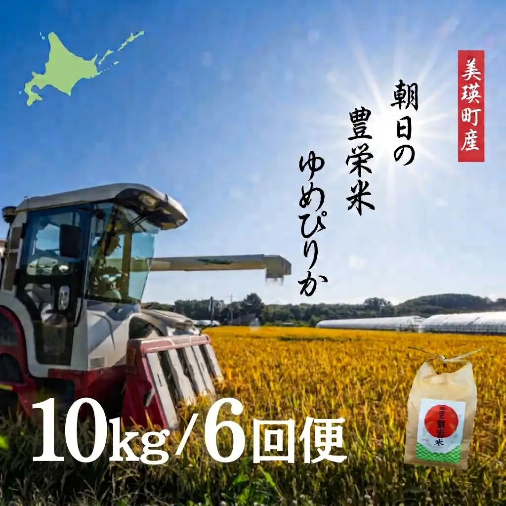 【6回定期便】 ゆめぴりか 10kg 定期便 豊栄米 北海道 精米 ゆめぴりか【令和8年産】