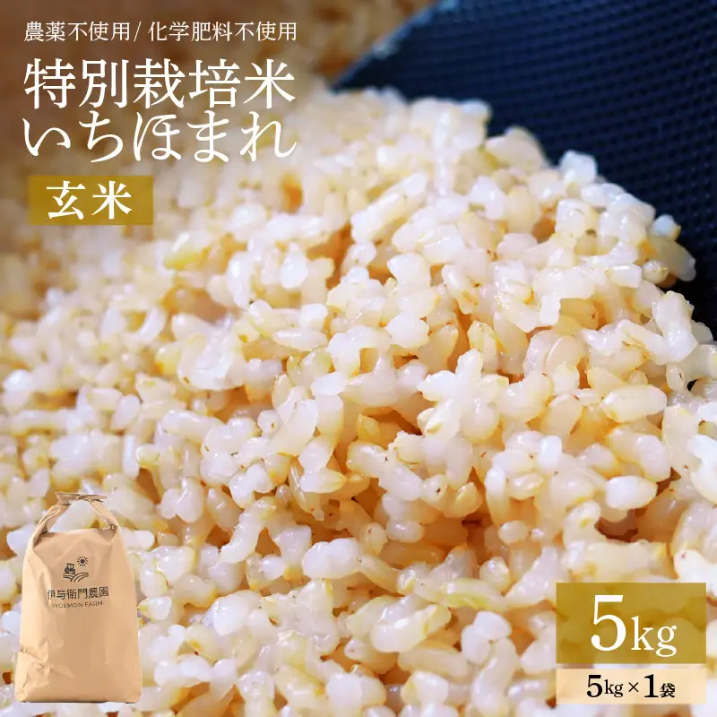 【令和8年産】特別栽培米 いちほまれ 玄米 5kg 化学肥料不使用 ＜温度と湿度を常時管理し新鮮米を出荷！＞／ 高品質 鮮度抜群 福井県あわら産 ブランド米 お米 [aw071-a017]