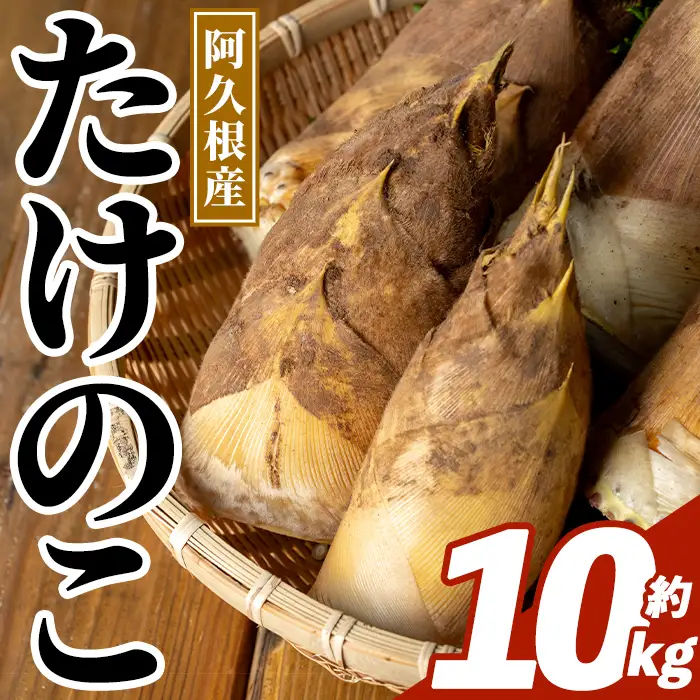 ＜先行予約受付中！2027年3月下旬以降順次発送予定＞  鹿児島県産 青果 たけのこ (約10kg) 国産 阿久根市産 野菜 たけのこ タケノコ 筍 旬 煮物 水煮 天ぷら つくだ煮 数量限定 期間限定 産地直送 【迫口大将】akn110-02