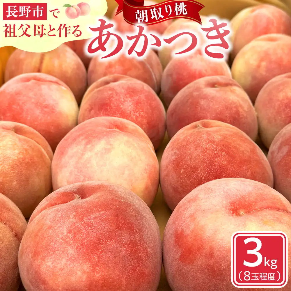 【2027年7月下旬～8月下旬発送　先行予約】長野市で祖父母と孫が作る長野市産朝取り桃！あかつき３キロ（８玉程度）｜ 桃 あかつき 朝採り 産地直送 人気 おすすめ フルーツ 果物 旬 新鮮 甘い ジューシー 長野県 長野市 信州 信濃 ふるさと納税