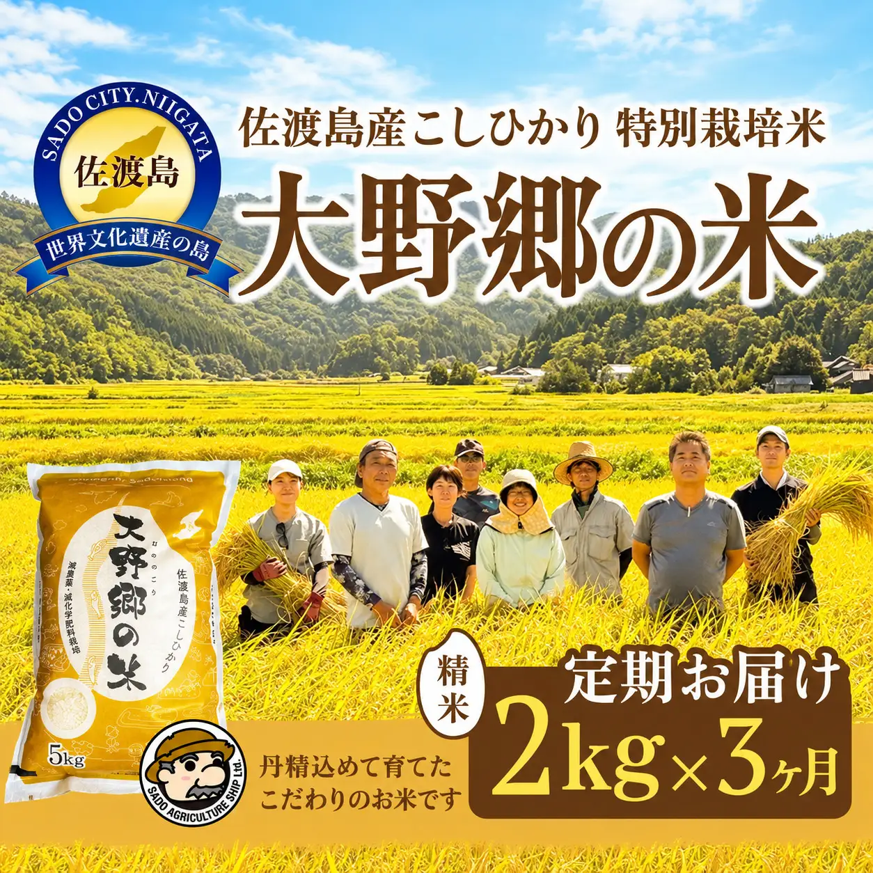 【定期便 3回 】コシヒカリ 精米 2kg 計6キロ | 新潟県 佐渡市 コシヒカリ