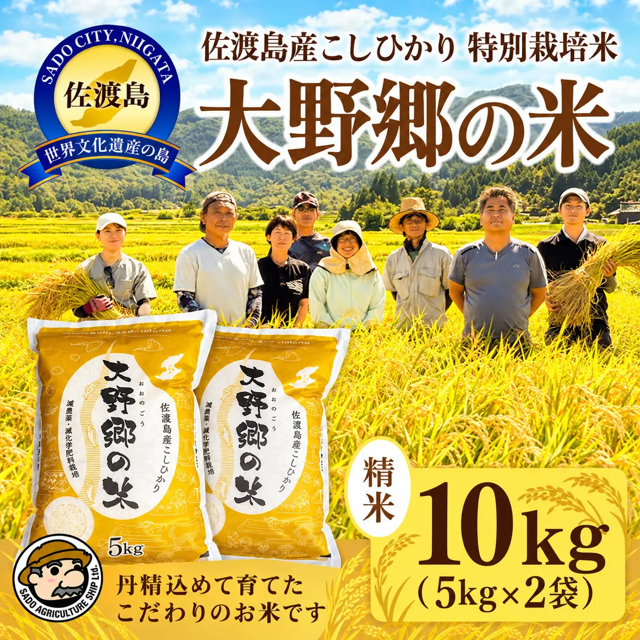 コシヒカリ 精米 10kg | 新潟県 佐渡市 コシヒカリ