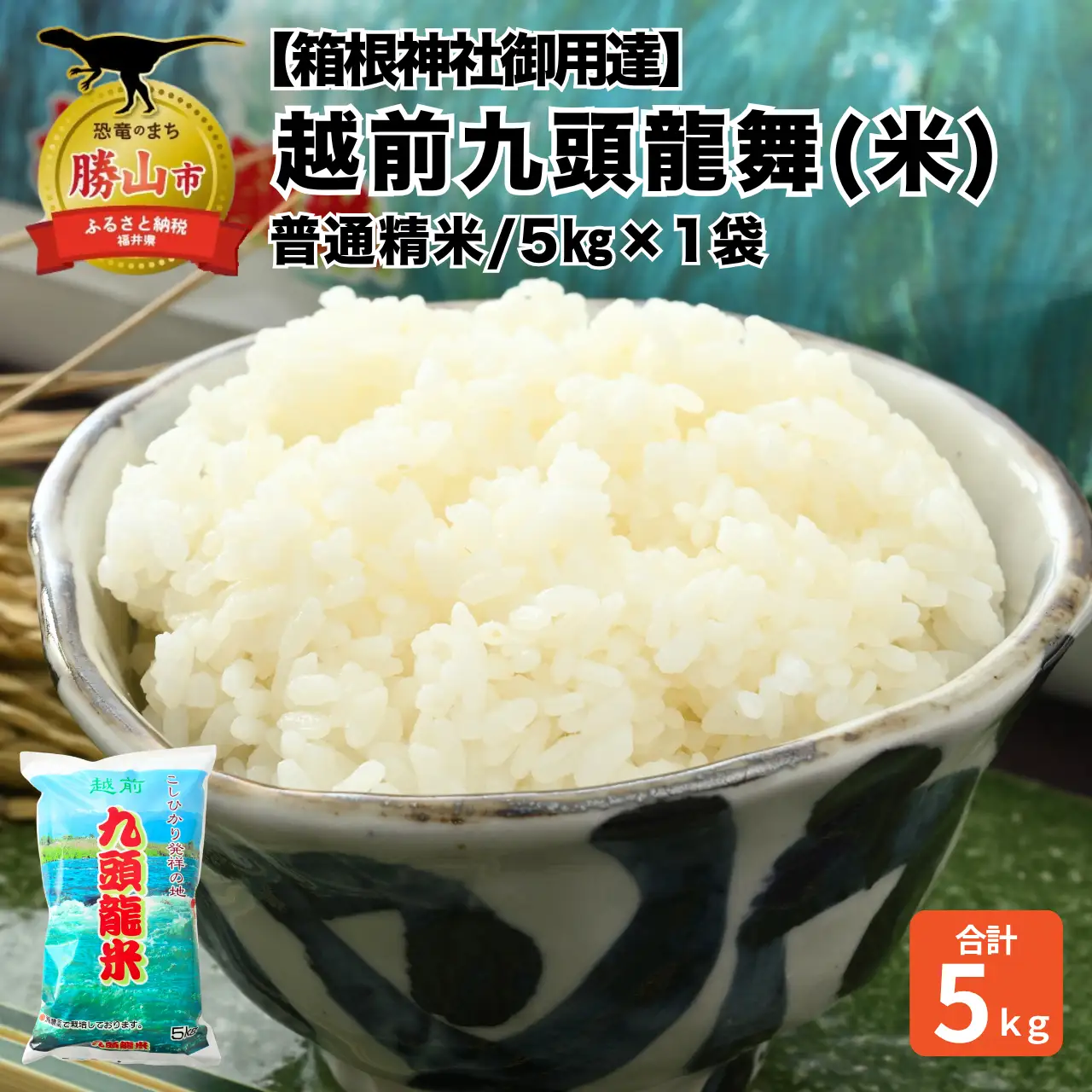 米 越前九頭龍舞 精米 5kg 令和8年産 米