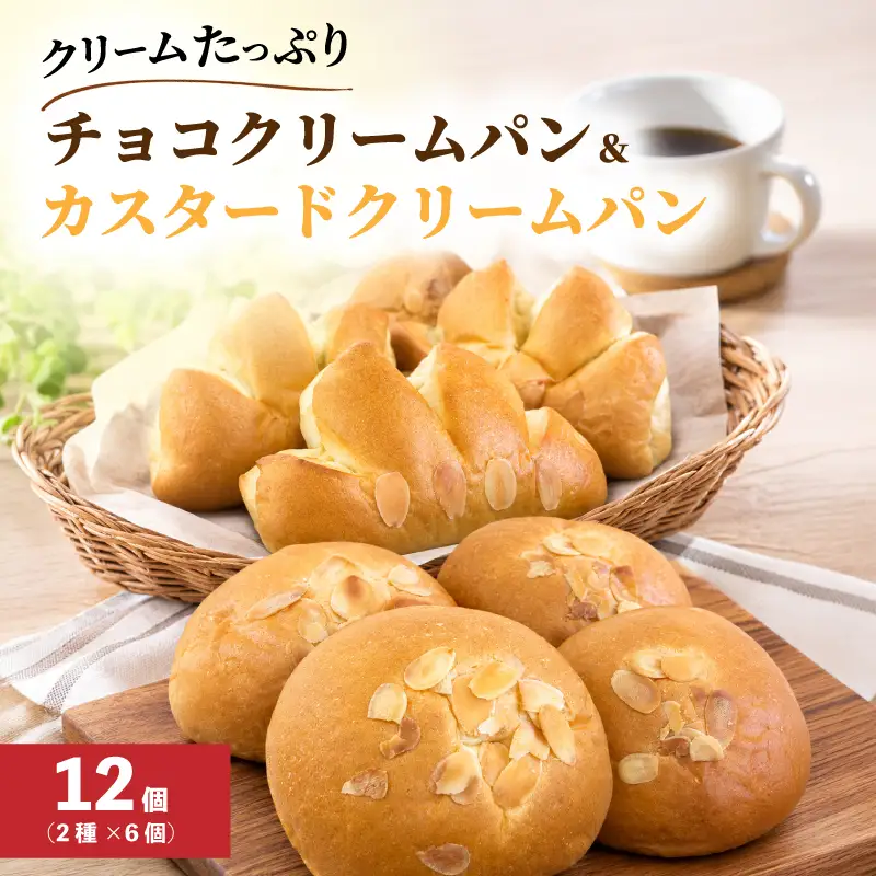 パン 12個 セット チョコクリーム カスタードクリーム パン