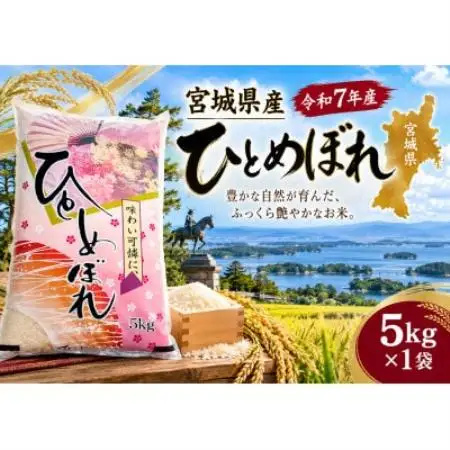 令和7年宮城県産ひとめぼれ100%【精米】5kg×1袋【2002551】