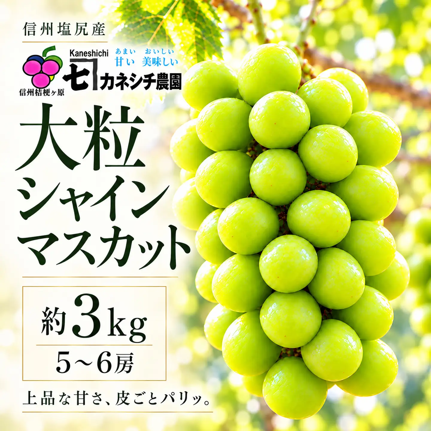 シャイン3kg 信州塩尻産 リハーチン農法 大粒シャインマスカット 約3kg（5～6房）