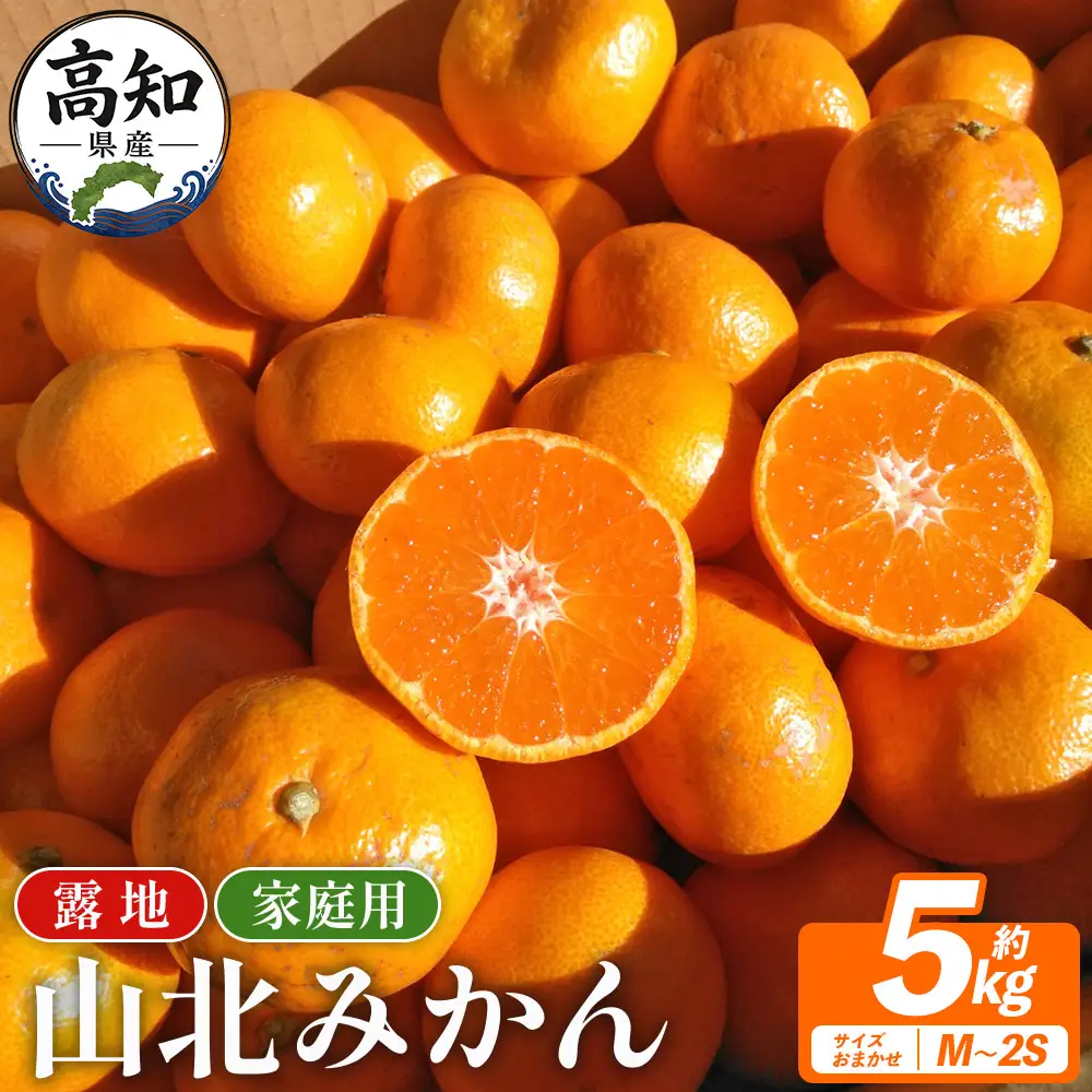 山北みかん（露地） 5.0kg 家庭用 sq-0003