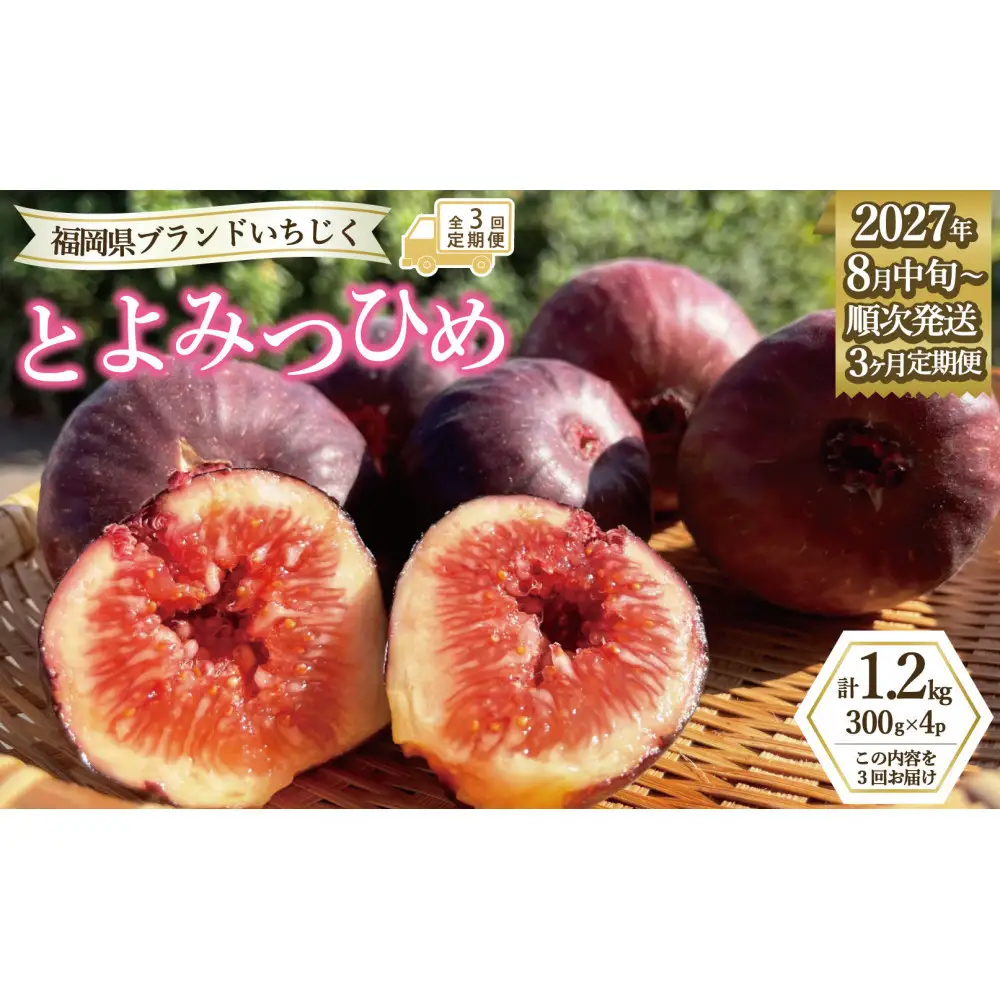 【定期便3回】【先行予約】【福岡限定ブランド】いちじく とよみつひめ 300g×4パック (約1.2kg)※2027年8月以降発送