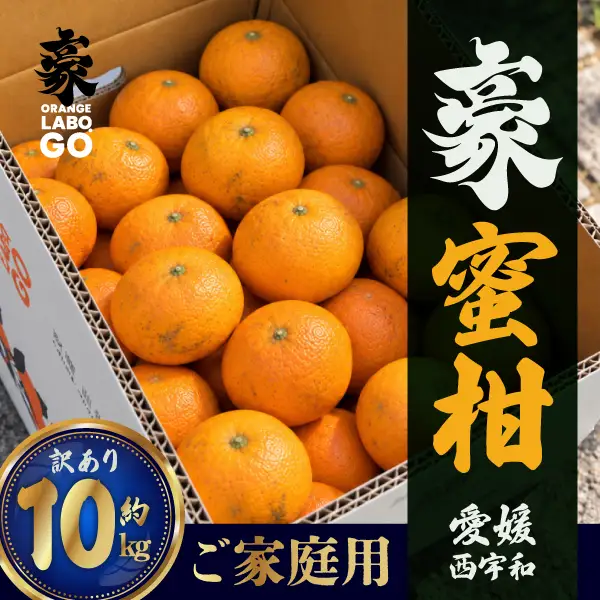 【先行受付】豪蜜柑　10kg　ご家庭用【88-8】YWTE008