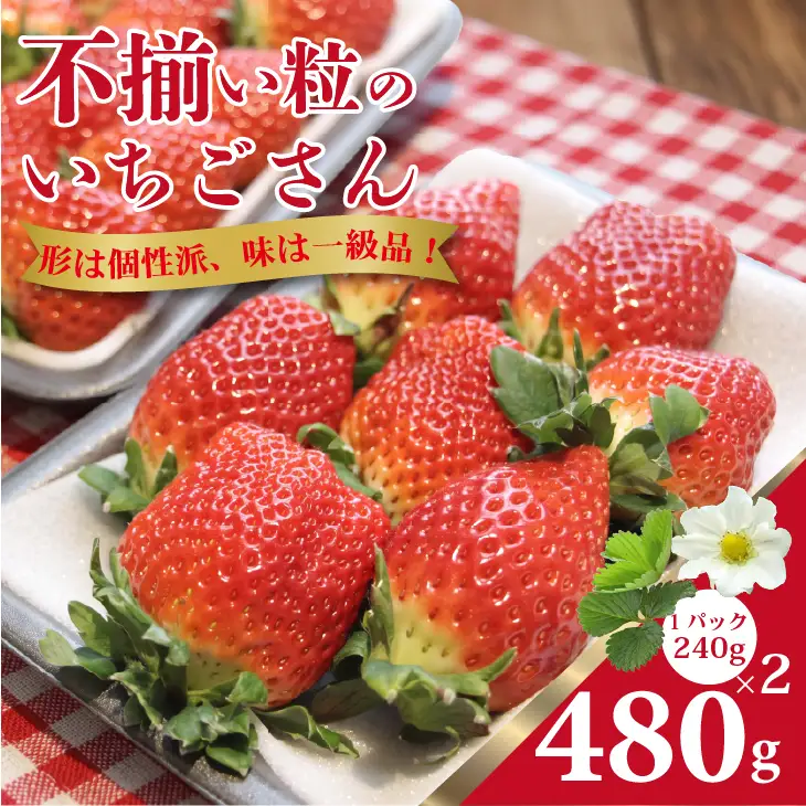 【先行予約】令和9年1月中旬ごろより出荷開始予定 不揃い粒の いちごさん 480g（240g×2P）江島農園 A075-039
