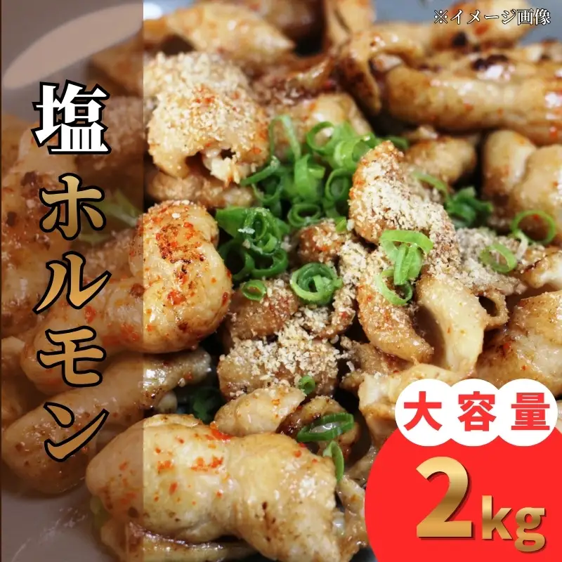 塩ホルモン 2kg（200g×10パック） 豚ホルモン 焼肉 小分け おつまみ 【BJ】