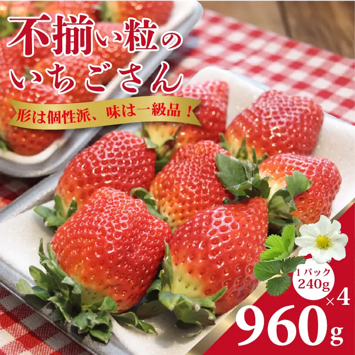 【先行予約】令和9年1月中旬ごろより出荷開始予定 不揃い粒の いちごさん 960g（240g×4P）江島農園 B120-102
