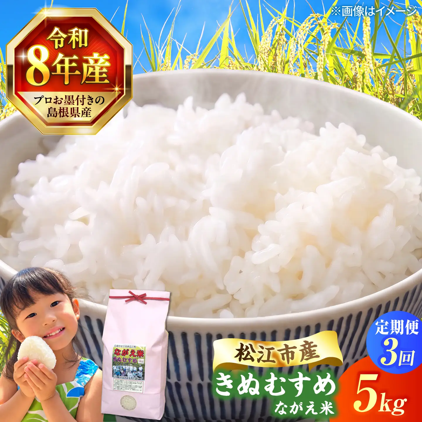 令和8年産 新米 きぬむすめ 5kg 3回定期便 新米[ALCG015-R83]