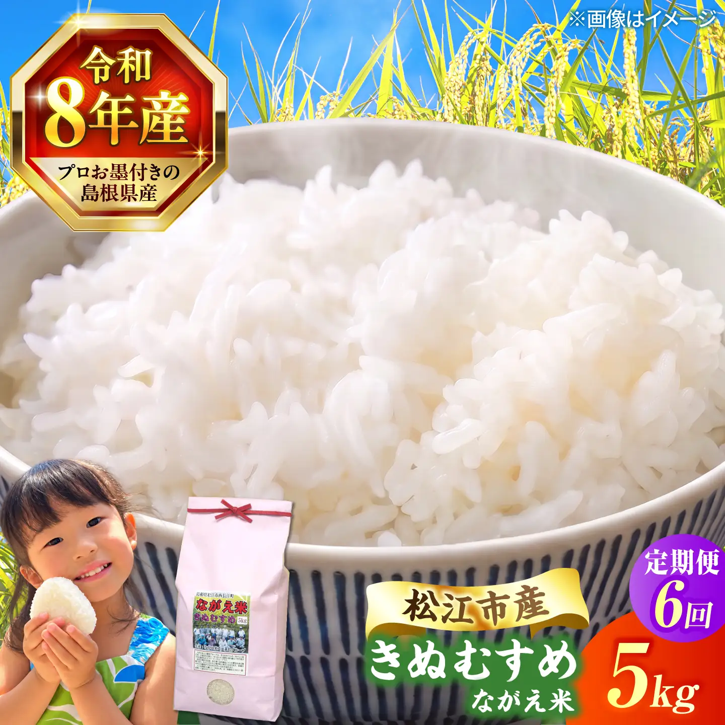 令和8年産 新米 きぬむすめ 5kg 6回定期便 新米[ALCG015-R86]
