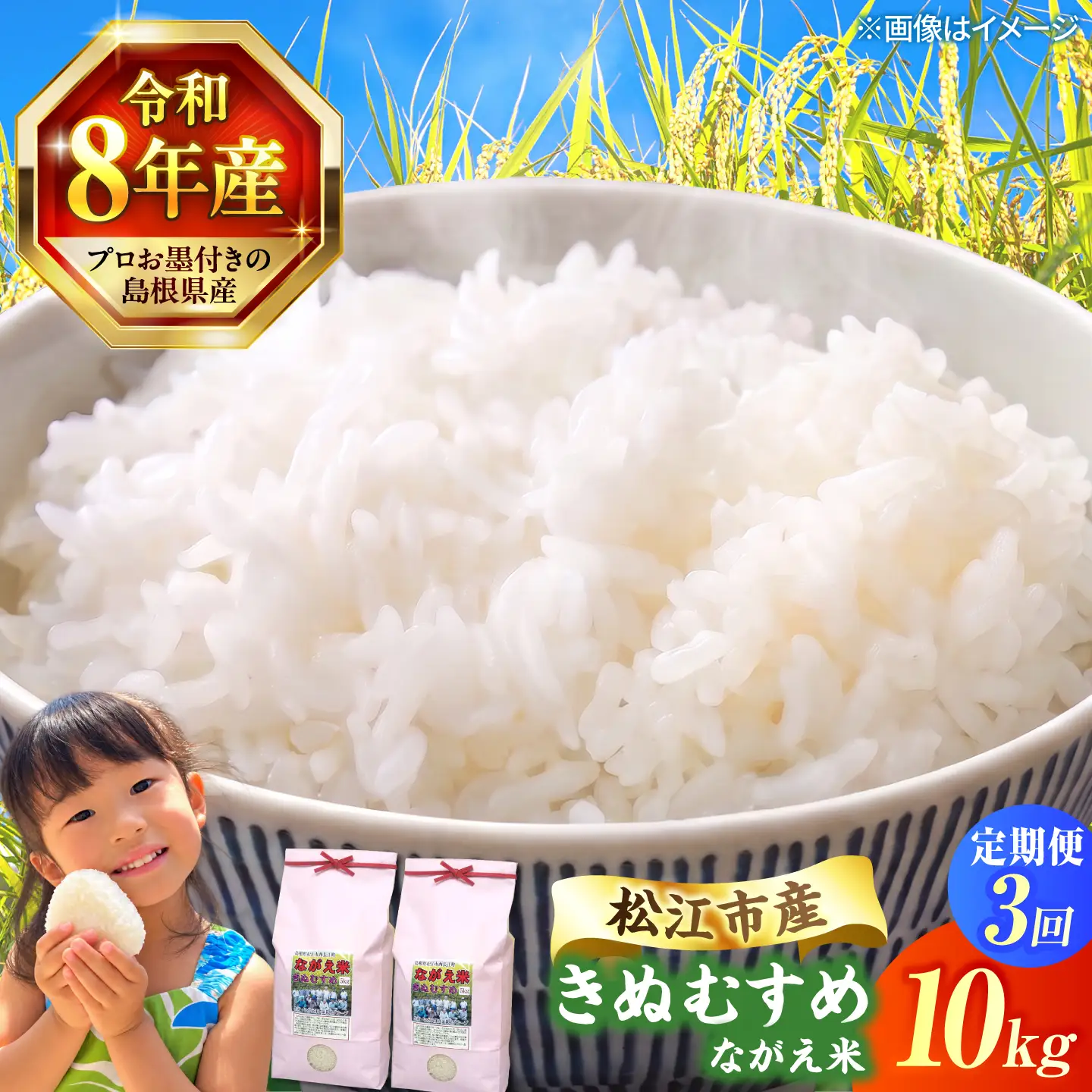 令和8年産 新米 きぬむすめ 10kg 3回定期便 新米[ALCG001-R83]