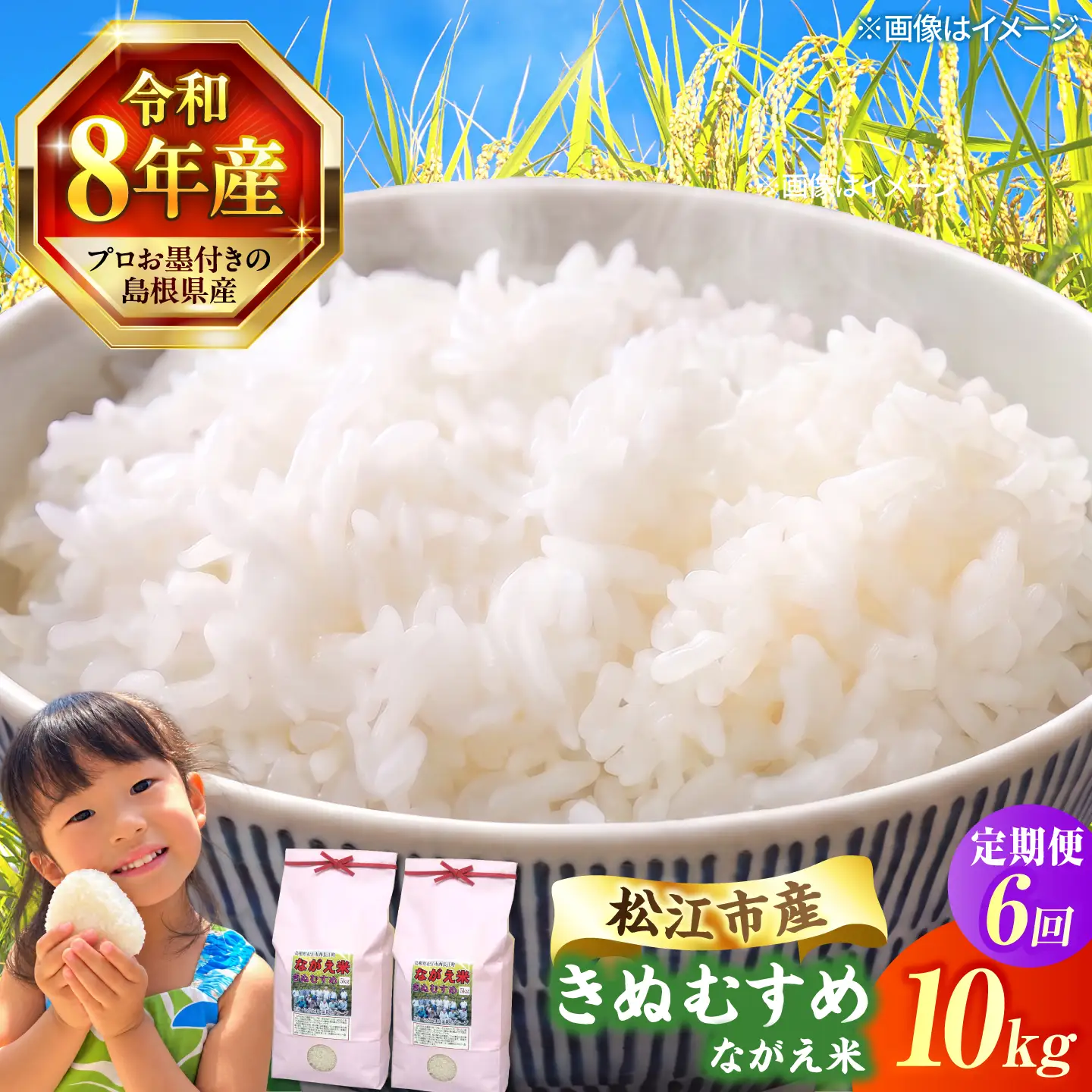 令和8年産 新米 きぬむすめ 10kg 6回定期便 新米[ALCG001-R86]
