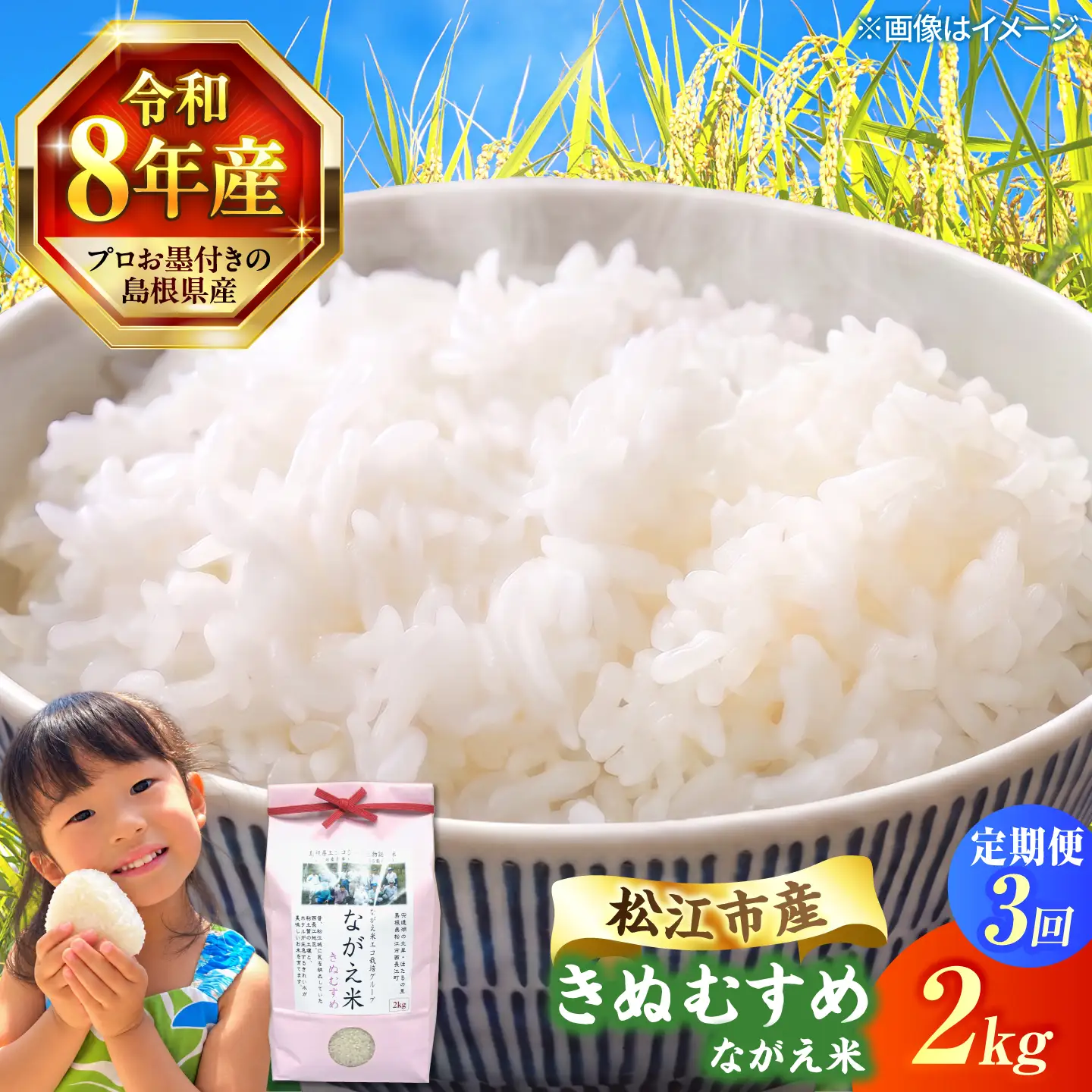 令和8年産 新米 きぬむすめ 2kg 3回定期便 新米[ALCG014-R83]