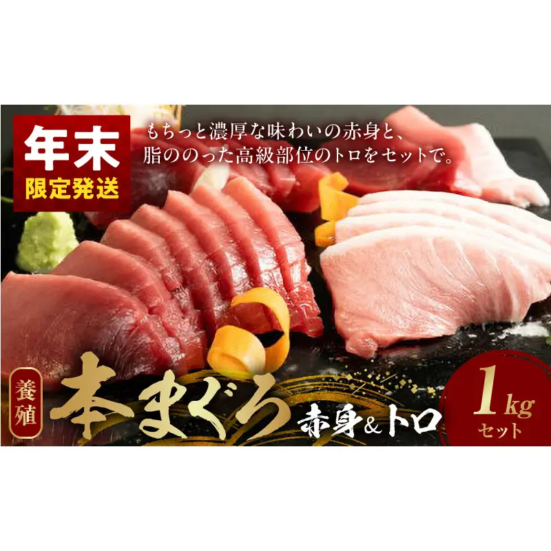 【年末配送】本マグロ（養殖）赤身＆トロセット 1kg_AZ6026_nm