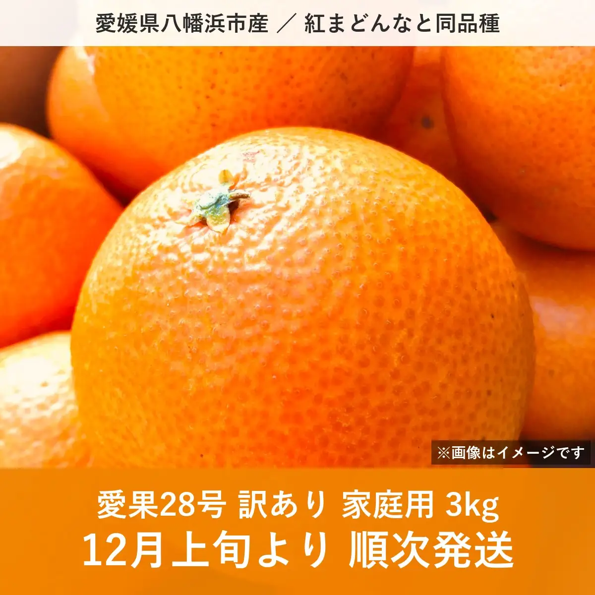 【先行受付】八幡浜産 愛果28号（紅まどんなと同品種）訳あり 家庭用 3kg【108-4】YWTBX004