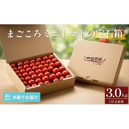 まごころ ミニトマト の 宝石箱 3.0kg (150玉前後)