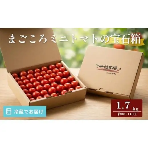 まごころ ミニトマト の宝石箱 1.7kg（約80～110玉）サンチェリーピュア