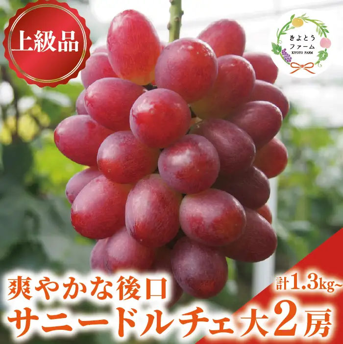 希少品種 爽やかな甘みの サニードルチェ 特大2房 計1.3kg～ 【KF-B099-01】