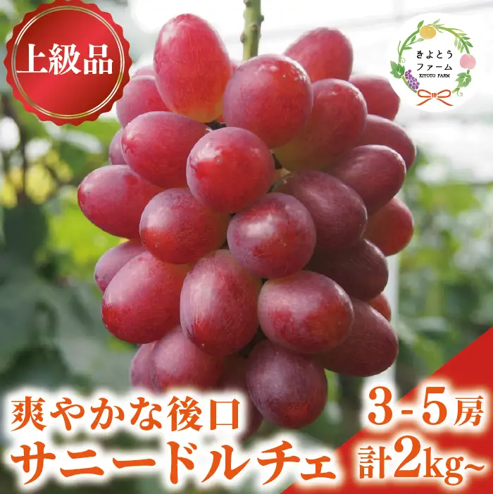 希少品種 爽やかな甘みのサニードルチェ3-5房 計2kg 【KF-B100-01】