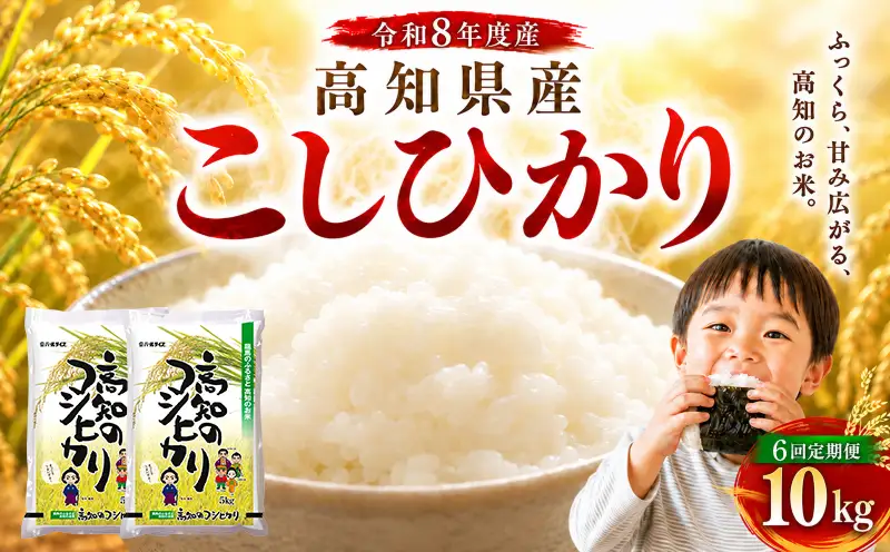 令和8年産 新米 こしひかり 10kg 6回定期便 新米