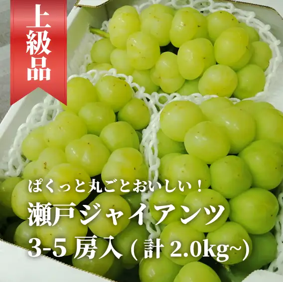 岡山県産 瀬戸ジャイアンツ 特選品 約2kg～ 【KF-B048-01】