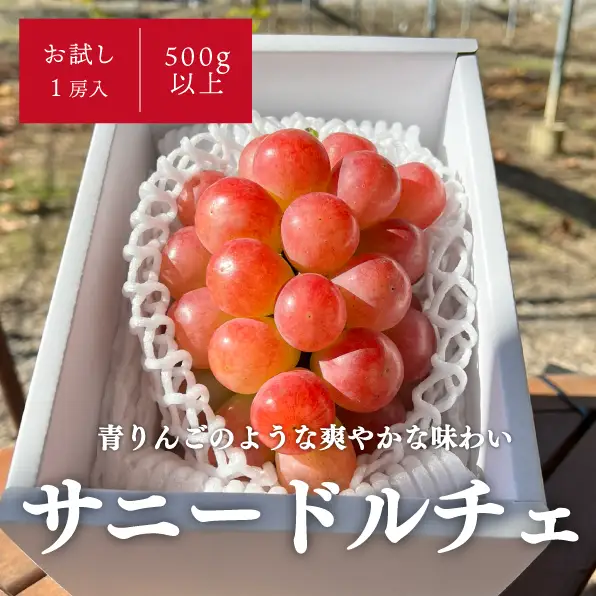 希少品種 サニードルチェ お試し １房 500g～ 【KF-B051-02】
