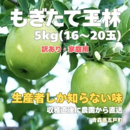 生産者しか知らない味 パリッと、シャキッと もぎたて王林 約5kg(16～20玉)【訳あり】【配送不可地域：離島・沖縄県】【2002539】