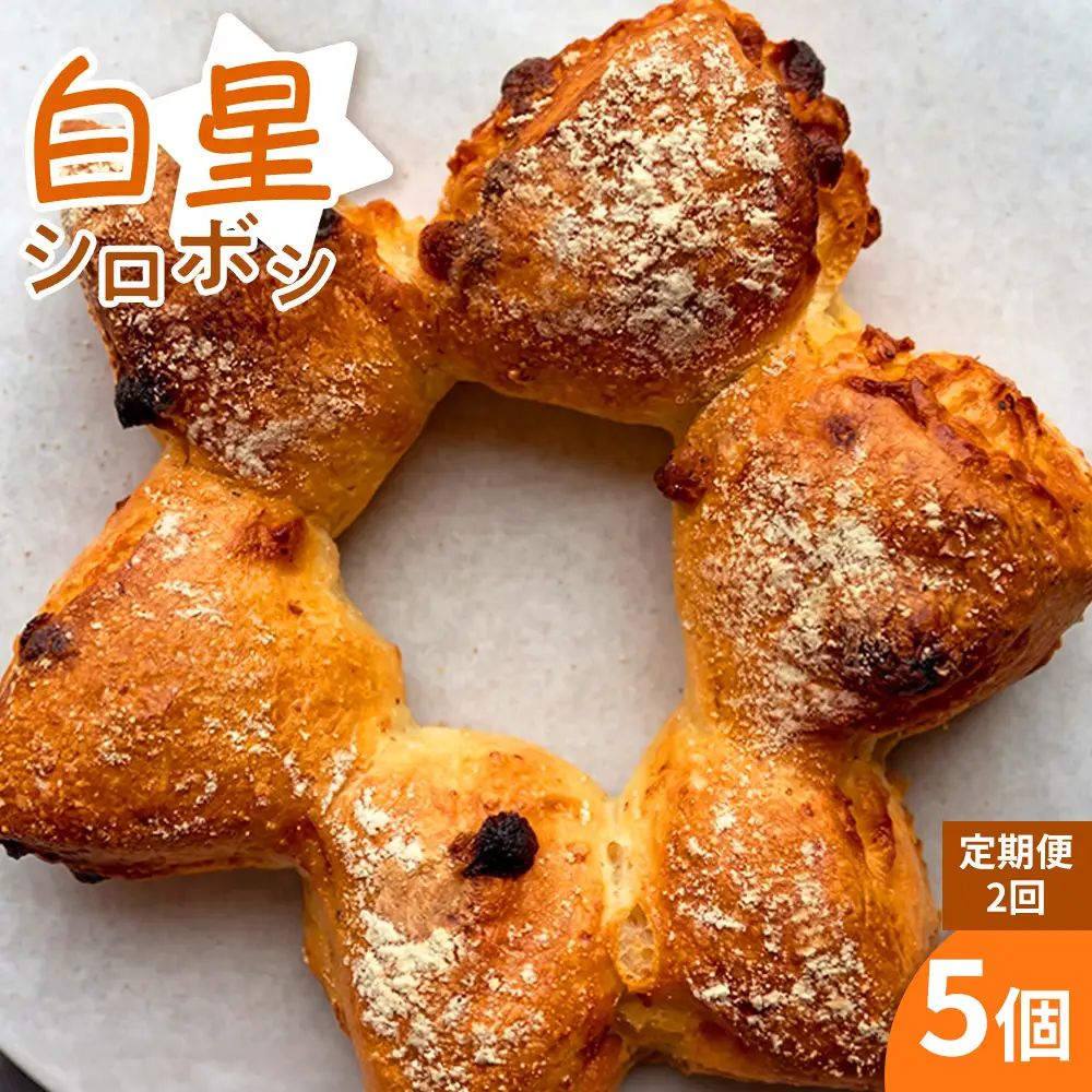【 定期便2ヶ月 】 【 ベッカライグリュック人気No.1 】 白星 ( シロボシ ) （ 5個 ） 1セット パン 菓子パン ブレッド 朝食 モーニング 朝ごはん 軽食 ホワイトチョコ マカダミアナッツ 冷凍 定期 定期配送