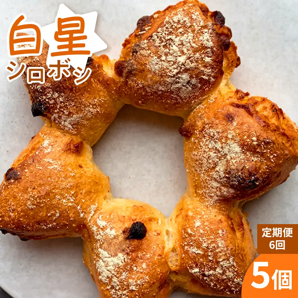 【 定期便6ヶ月 】 【 ベッカライグリュック人気No.1 】 白星 ( シロボシ ) （ 5個 ） 1セット パン 菓子パン ブレッド 朝食 モーニング 朝ごはん 軽食 ホワイトチョコ マカダミアナッツ 冷凍 定期 定期配送