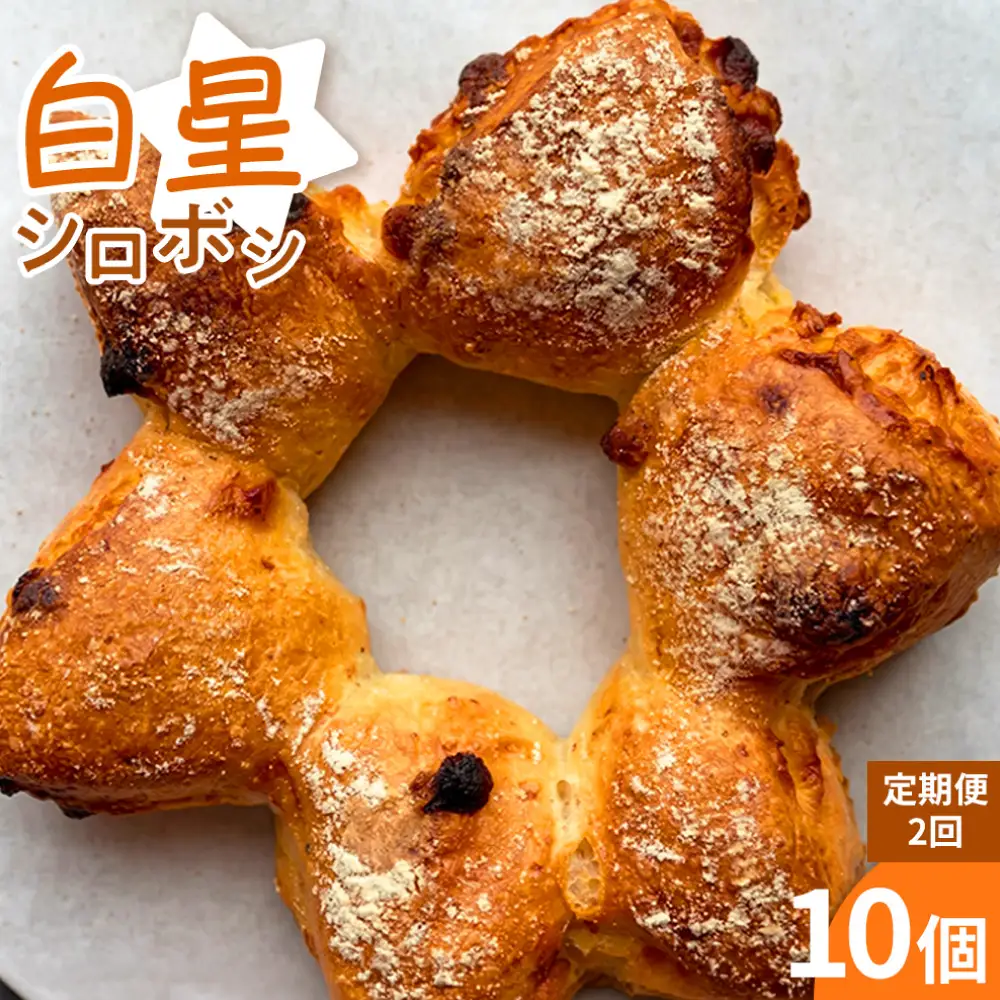 【 定期便2ヶ月 】 【 ベッカライグリュック人気No.1 】 白星 ( シロボシ ) （ 5個 ） 2セット パン 菓子パン ブレッド 朝食 モーニング 朝ごはん 軽食 ホワイトチョコ マカダミアナッツ 冷凍 定期 定期配送