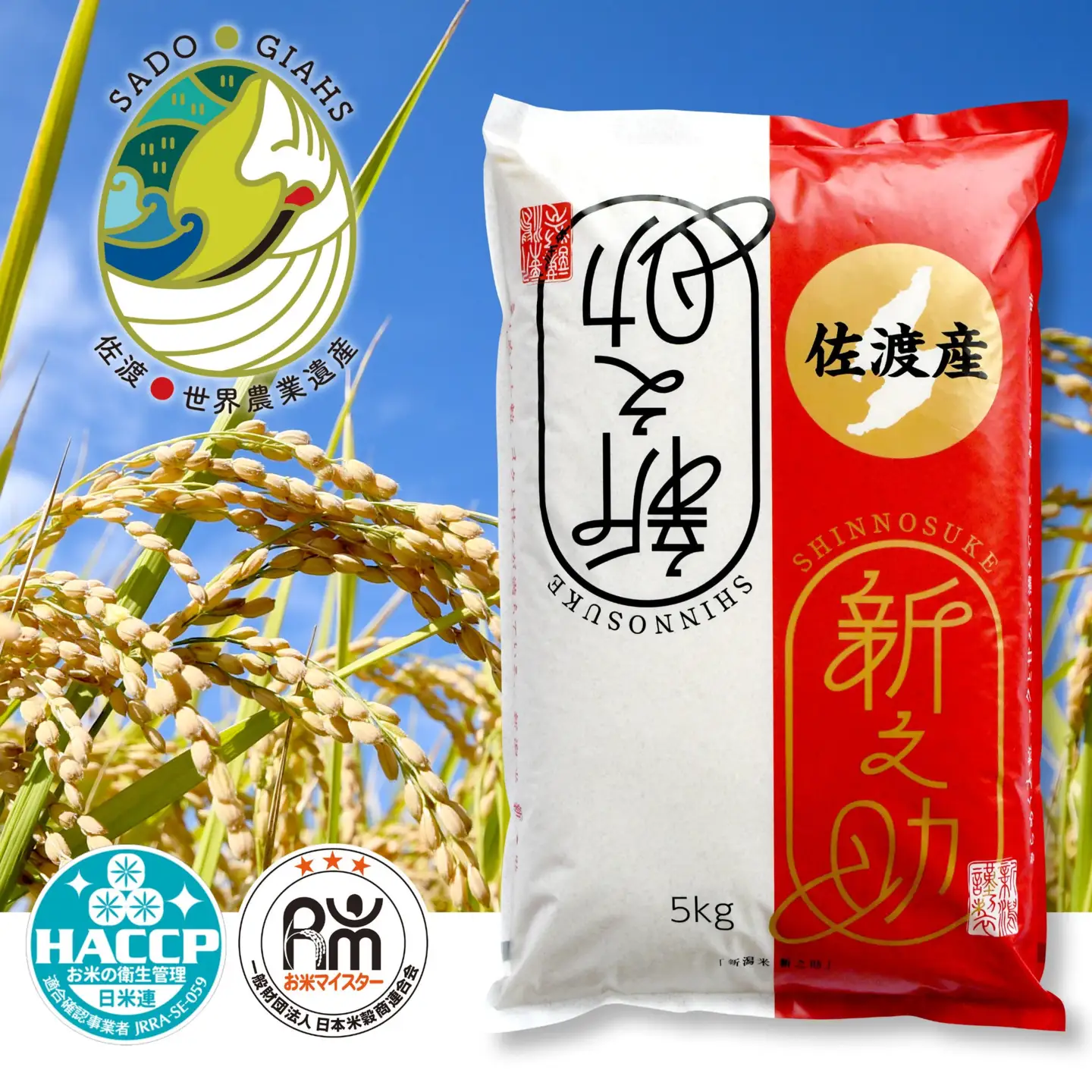 【6か月定期便】令和8年産 佐渡産 新之助 精米5kg