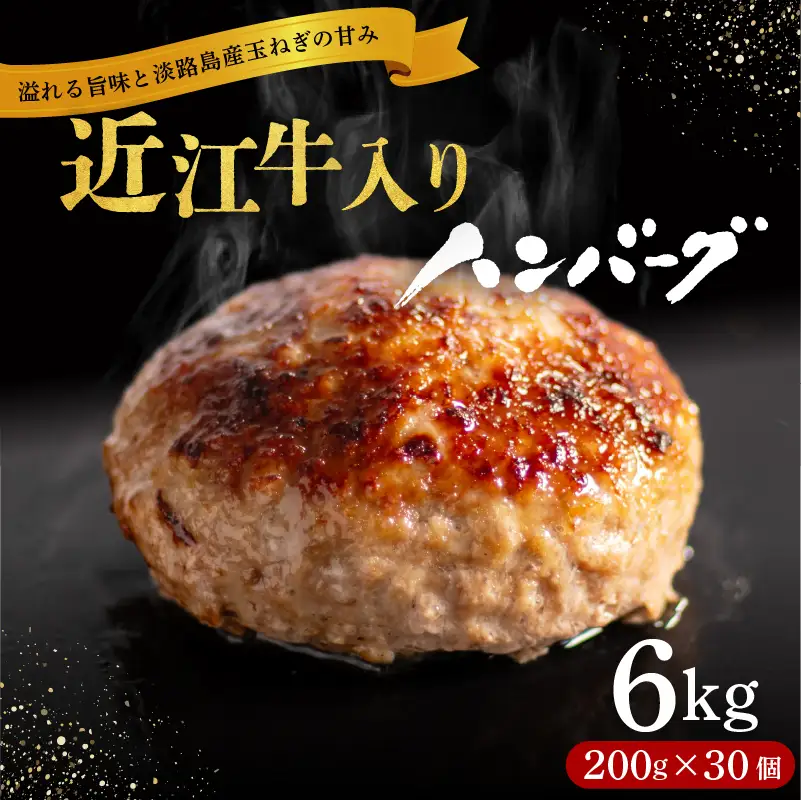 近江牛入りハンバーグ[RM213](30個計6kg)【12月】