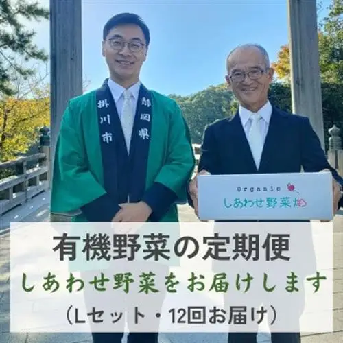 【毎月定期便】オーガニックビレッジ・有機農業の会、「有機野菜セット」(Lセット)、全12回【配送不可地域：離島・北海道・沖縄県・四国・九州】【4094426】