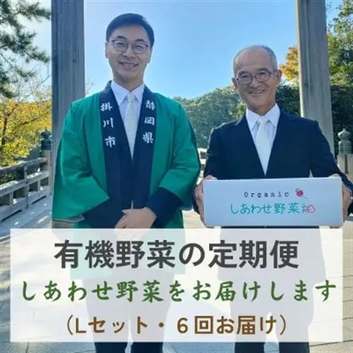 【毎月定期便】有機野菜(Lセット)6回便/有機JAS認証・有機農業の会・オーガニック掛川・全6回【配送不可地域：離島・北海道・沖縄県・四国・九州】【4094427】