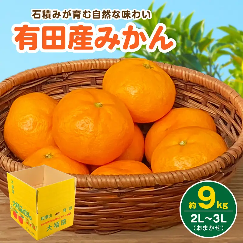 有田産 みかん 約9kg