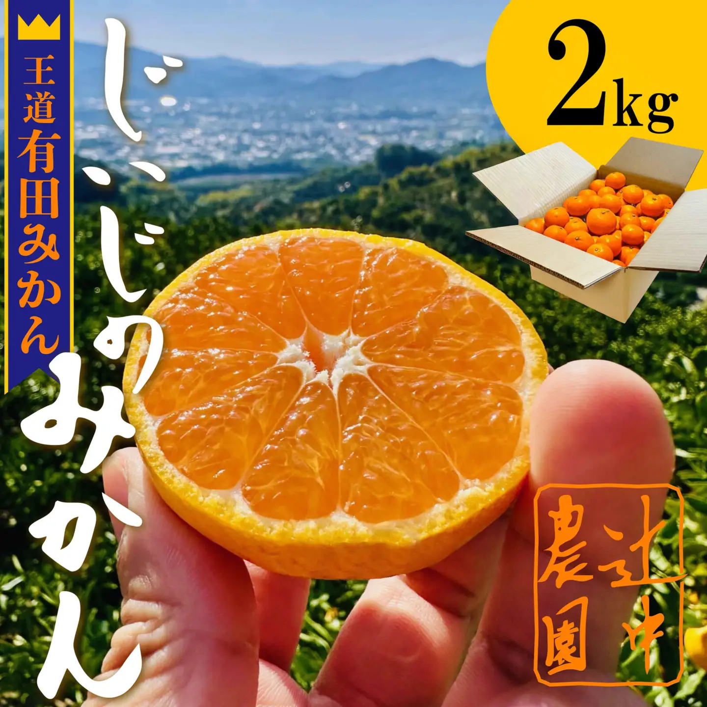 有田みかん 早生みかん 2S 小玉 2Kg~