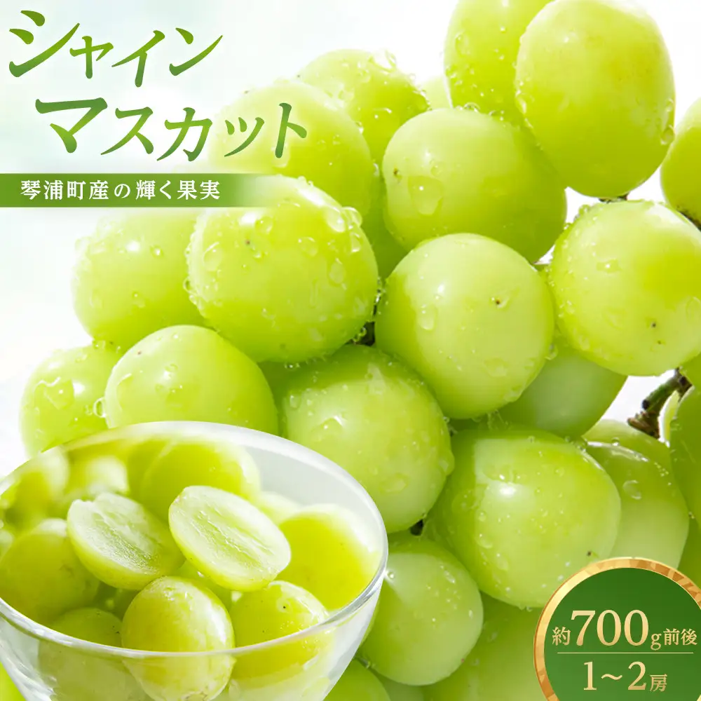 訳あり　琴浦町産シャインマスカット（粒パック）1kg（500g×2）